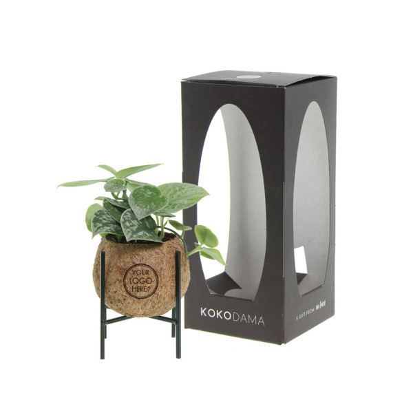 Kokodama® medium - Industrial green mix