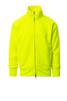 Fluorescent Yellow